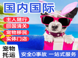 果洛玛沁航空空运国际宠物托运 【国